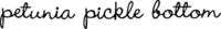 Petunia Pickle Bottom logo