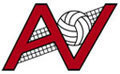 All Volleyball logo