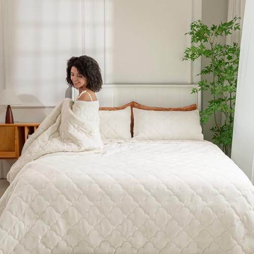 PlushHavenCloud Luxury Lightweight Velvet Bed Comforter & 2 Pillow Shams