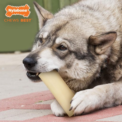 Nylabone Marrow Bone Alternative Power Chew Toy for Large Dogs