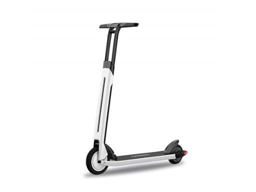 Segway Ninebot Kick Scooter