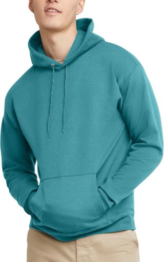 Hanes Men's EcoSmart Fleece Hoodie (Spanish Moss)