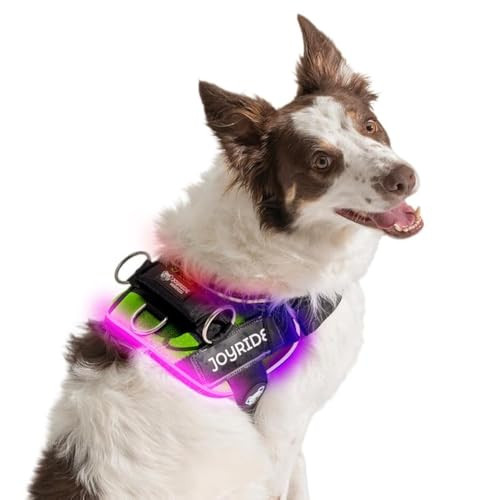 Joyride DogHarness with LED Lights