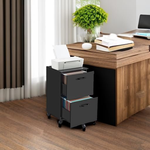 VASAGLE 2-Drawer File Cabinet