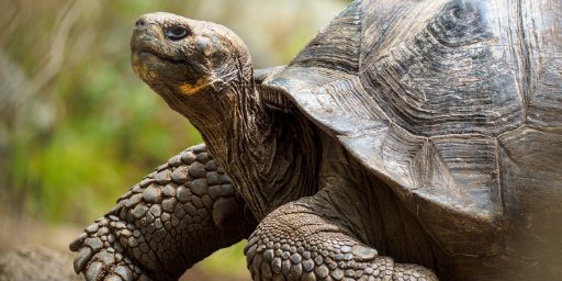 Guided 17-Day Adventure Through The Amazon and Galapagos Islands