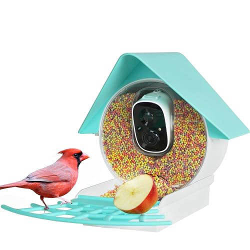 Birdkiss Smart Bird Feeder with FHD Camera & 3W Solar Panel