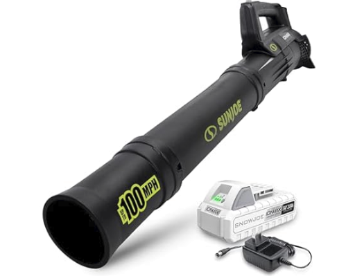 Sun Joe IONMAX Cordless Turbine Jet Leaf Blower