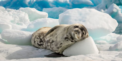Antarctica 13-Day Intimate Yacht Expedition
