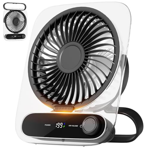 Portable Desk Fan