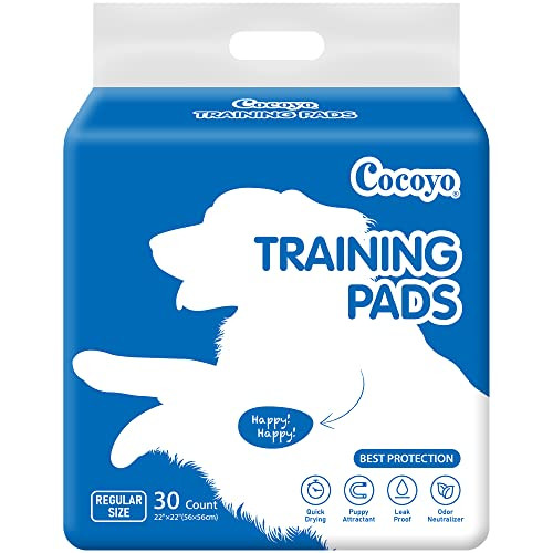 COCOYO Best Value Training Pads, 30 Count