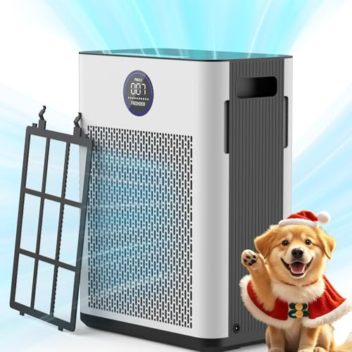 Air Purifier for Up to 2300ft² with H14 True HEPA & Double-Sided Intake