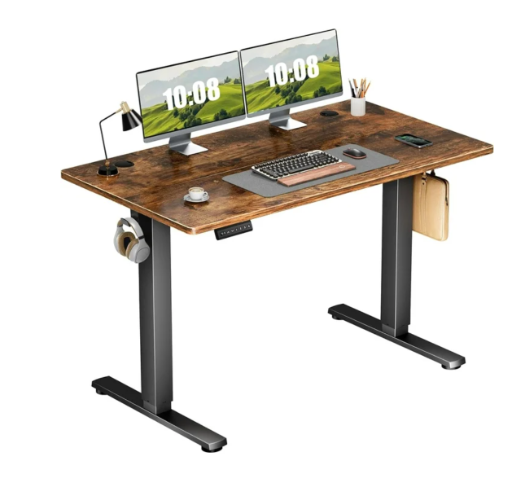 48" x 24" Electric Stand up Desk