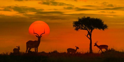 Kenya Ultimate Safari: 12-Day Package w/ Flights & 5-Star Hotels