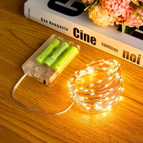 Minetom Fairy String Lights, 33Ft 100 LED Mini Battery Operated Fairy Lights
