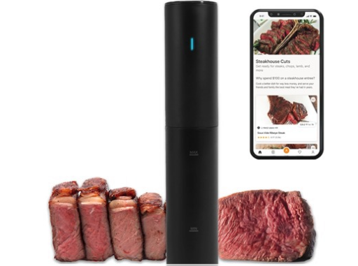 Anova Culinary Mini Sous Vide Precision Cooker