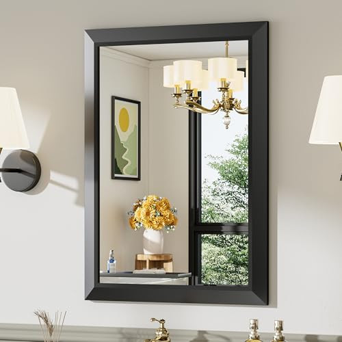 Briivue Black Bathroom Mirror