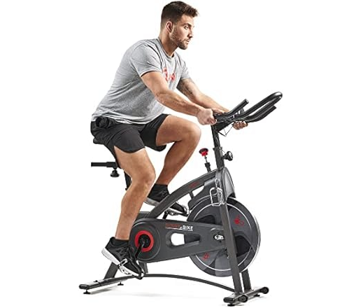 Sunny Health & Fitness Magnetic Resistance Exercise Bike