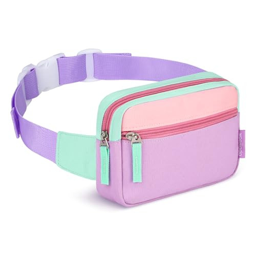  Fanny Pack Crossbody Bag