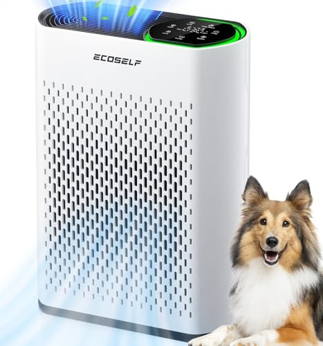 Powerful Air Purifier for Home