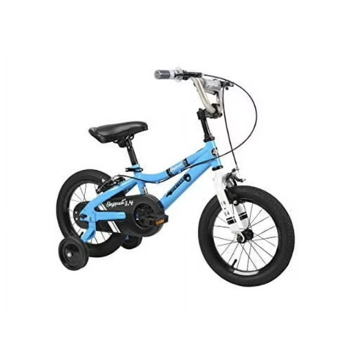 Duzy Customs Skyquest Kids Bike
