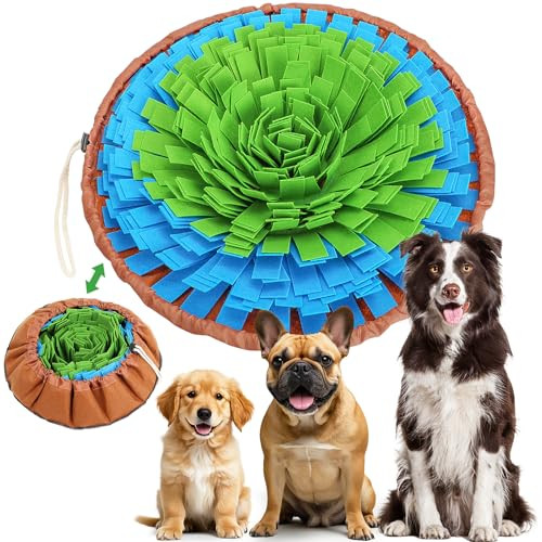 Vivifying Snuffle Mat for Dogs