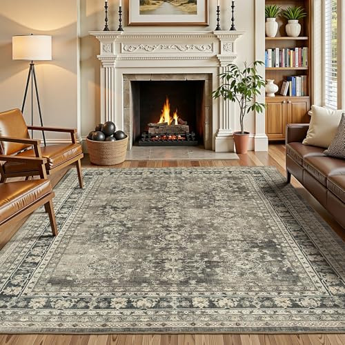 Lessymo Area Rug for Living Room