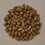 24-Pack The Only Bean Crunchy Roasted Edamame Snack