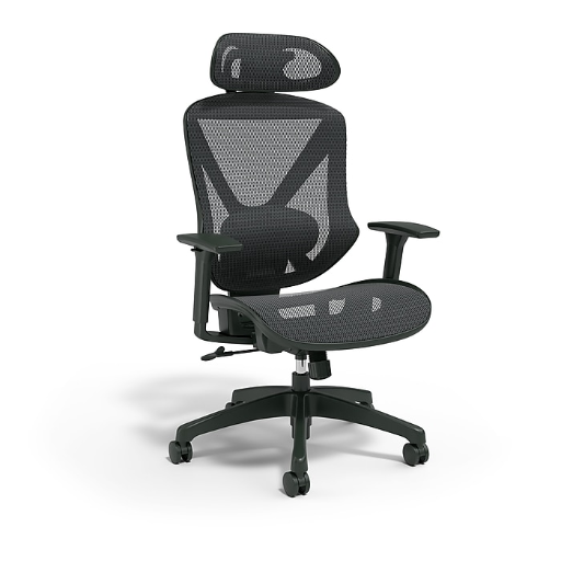 Staples Dexley Ergonomic Mesh Swivel Task Chair with Free Tru Red Balance Board