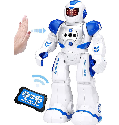 Interactive Robot Toy