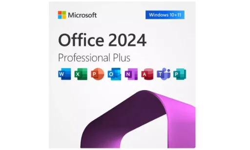 Microsoft Office 2024 Professional Plus (PC)