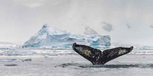 16-Day Luxury Antarctica Yacht Cruise Expedition