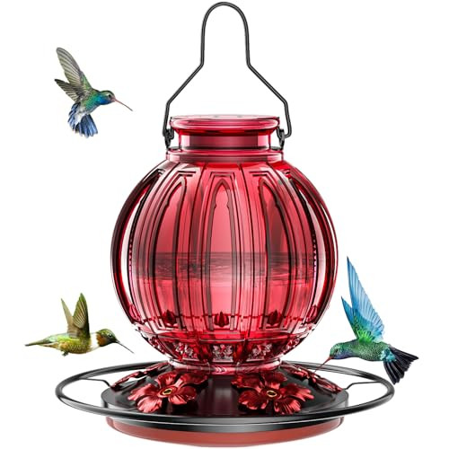 Hummingbird Feeder for Outdoors