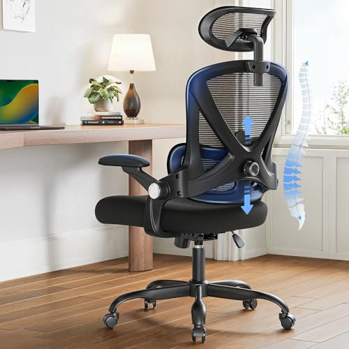 HUANUO Ergonomic Office Chair