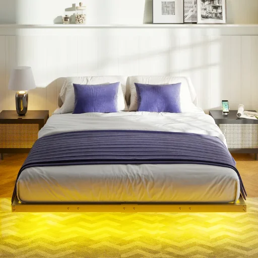 Canealus Floating Metal Bed Frame with LED Lights