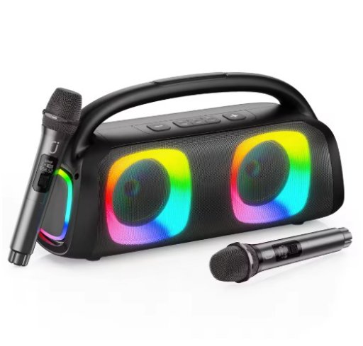 Portable Bluetooth Karaoke Machine with Microphones