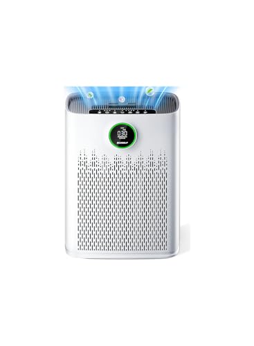 Air Purifier with Aromatherapy