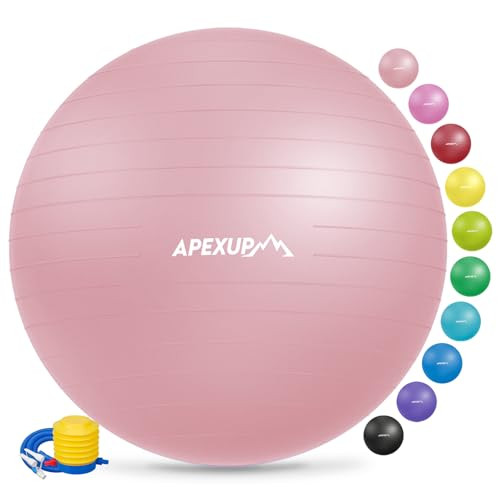 Apexup Exercise Ball (Large)