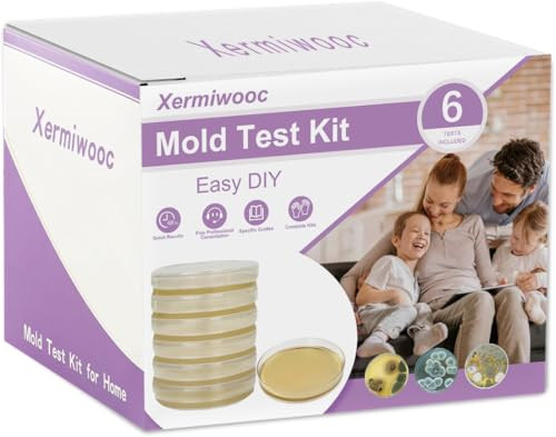 DIY Home Mold Test Kit 