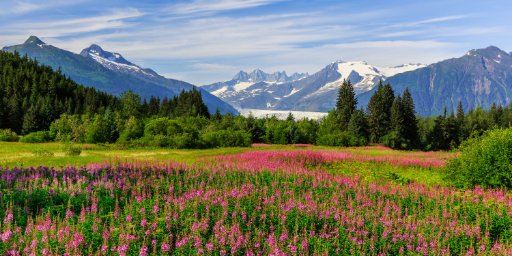 Alaska Cruise for 7 Nights, Seattle Departure