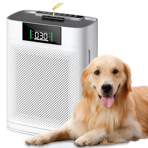 Air Purifier with True HEPA Filter for up to 1500sq ft
