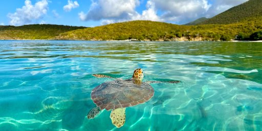 9-night Caribbean cruise from San Juan to Bridgetown