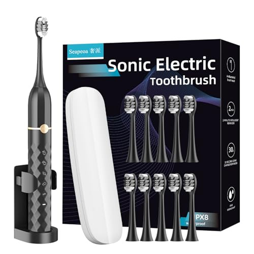 Electric Toothbrush Set with 10 Brush Heads