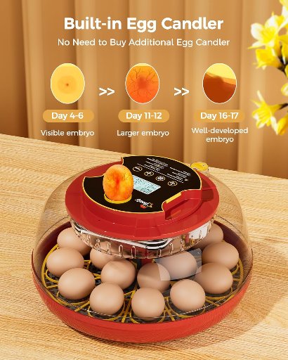 Letdy 18 Egg Incubator with Automatic Turning and Humidity Control