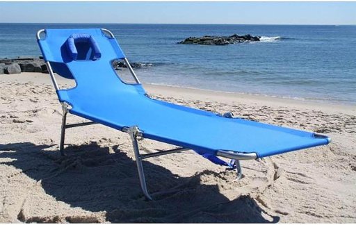 Ostrich Beach Lounge Chair