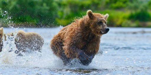 7-Night Alaskan Cruise Package: Seattle Departure
