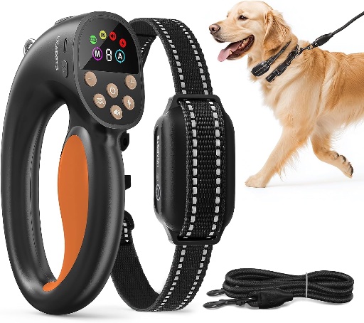 Dog Training Collar with Remote Control