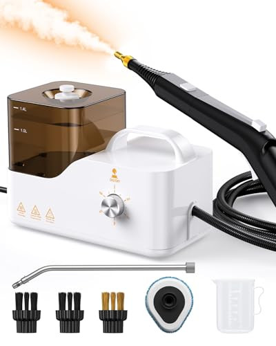 Cordless Steam Cleaner