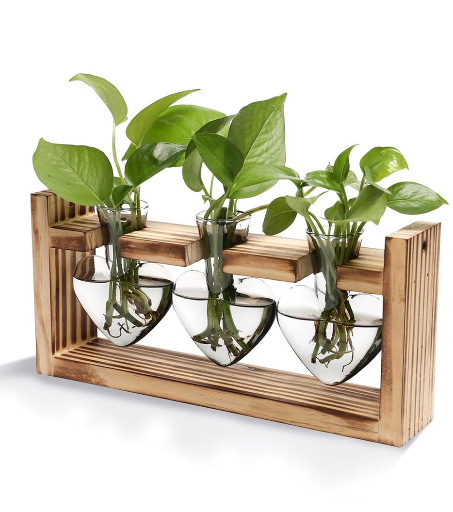 Desktop Plant Propagation Station