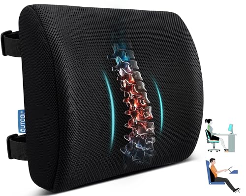 Lumbar Support Pillow