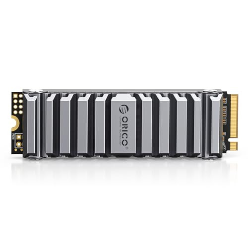 ORICO OS5 2TB M.2 SSD for PS5 Storage Expansion